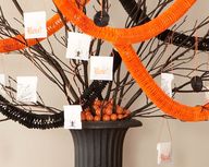 A Spooktacular Hallo