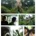 Clarkland Dinosaurs Island in Clark Pampanga