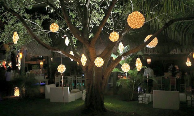 LightemUp! Creative Lamps Perfect Year Round