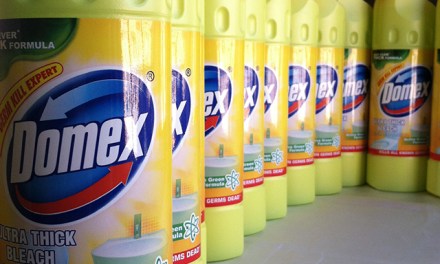Keep Your Home Clean with Domex Germ Kill Expert
