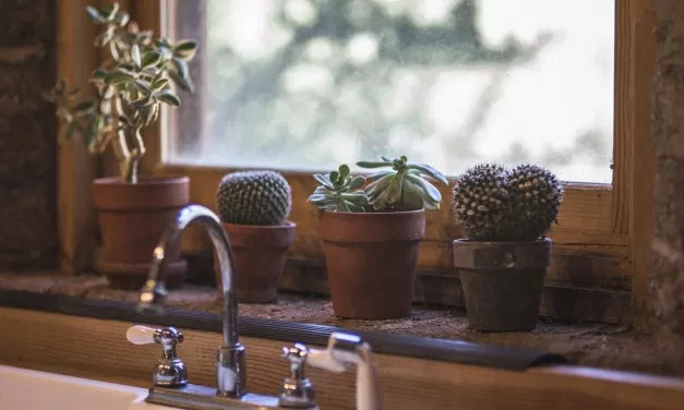 4 Things You Don’t Think About When Cleaning Your Home