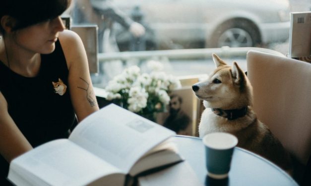 Pets Allowed Vs. Pet-Friendly: Why Pet Owners Should Know the Difference