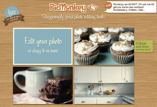 The+Daring+Librarian Is PicMonkey the New Picnik?