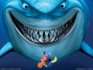 finding nemo shanewarne 60000 300x225 Finding Nemo might be back!