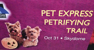 pet+express+petrifying+2012 Halloween 2012 Events