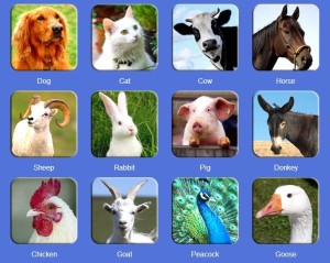 ZOOLA - educational animals game for kids