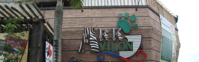 ark-avilon-zoo-boat