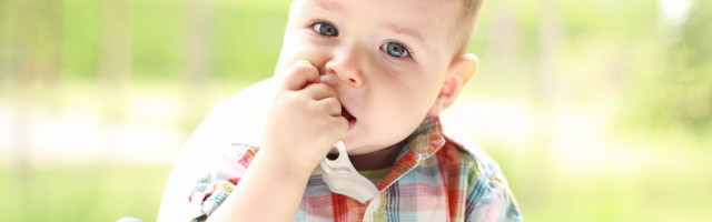 Tiny Buds Chewbrush (1)