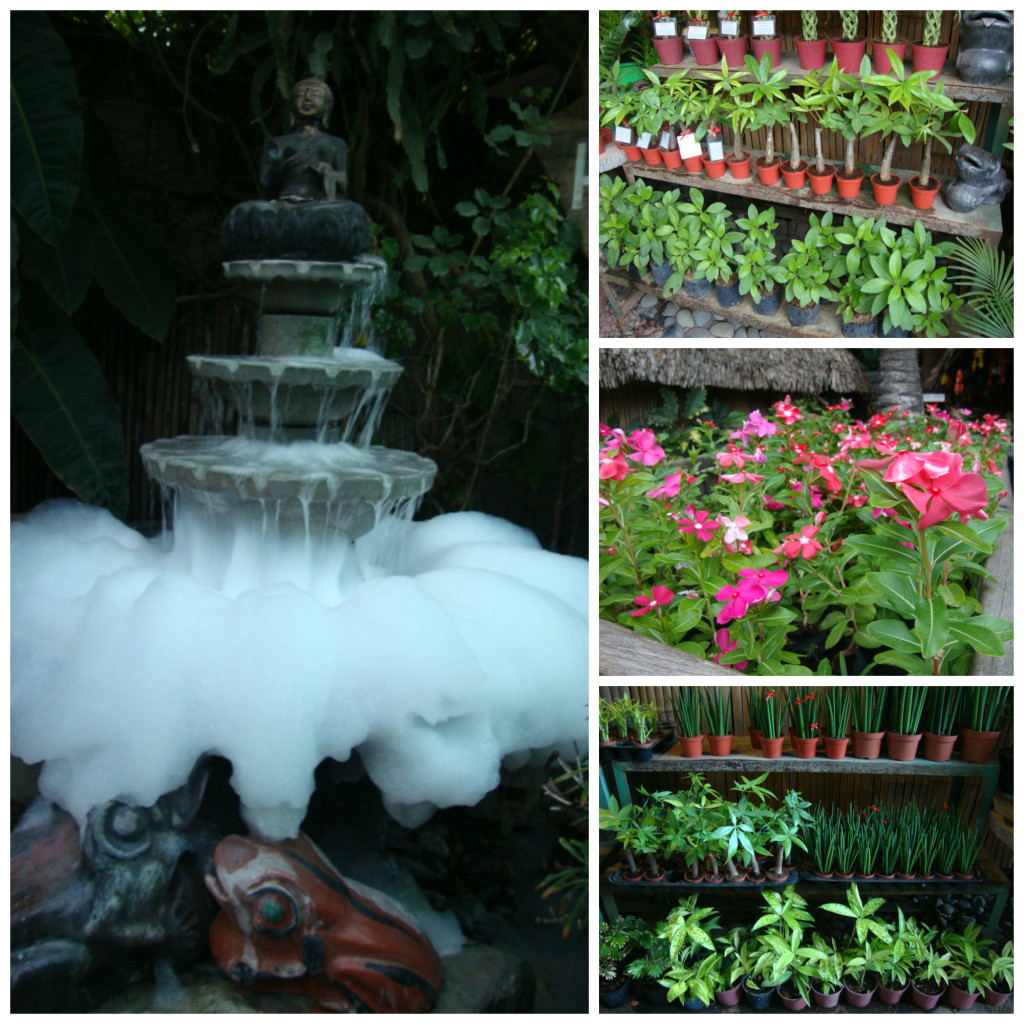hidden-garden-vigan