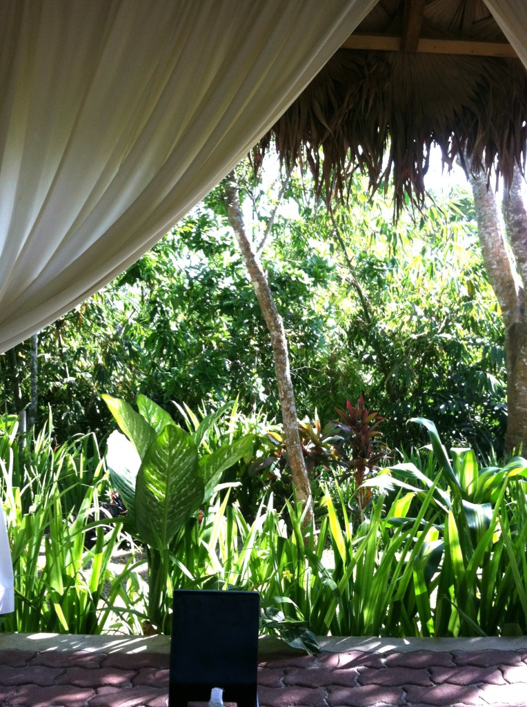nurture wellness village spa celebrity mom maricel laxa pangilinan birthday art of being a mom www.artofbeingamom.com 37