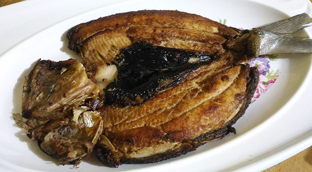 sarangani bay prime bangus milkfish lifestyle mommy blogger www.artofbeingamom.com 09