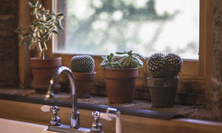 4 Things You Don’t Think About When Cleaning Your Home