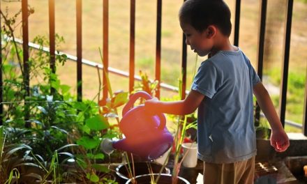 6  Ways to Make Your Garden Great for Your Kids