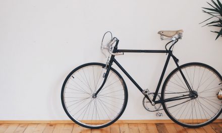 Cyclists and Right of Way: Do You Know the Rules of the Road?
