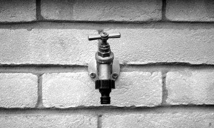 How to Inspect Your Home For Water Damage